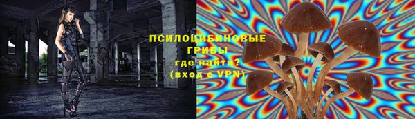 мдпв Россошь