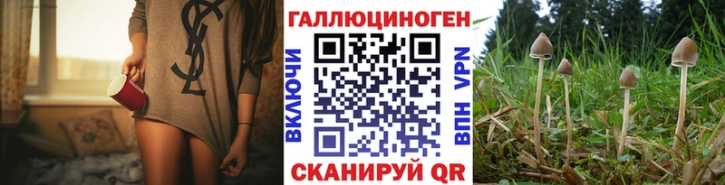 блэк спрут ONION  Берёзовский  даркнет телеграм  Галлюциногенные грибы мухоморы 